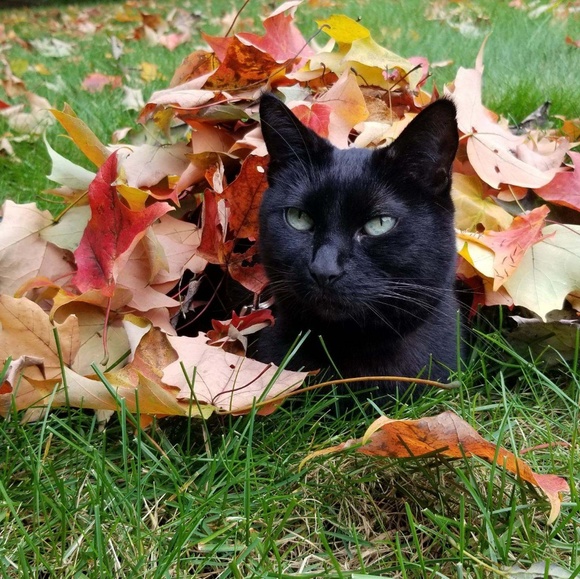 Meet your Posher, Mary - Picture 1 of 1